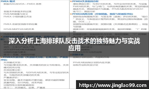深入分析上海排球队反击战术的独特魅力与实战应用
